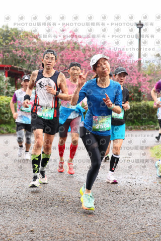 2026左岸竹東櫻花馬拉松Zhudong Sakura Marathon