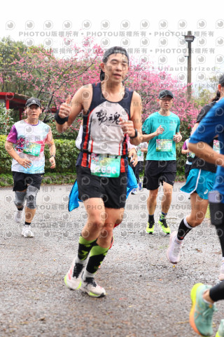 2026左岸竹東櫻花馬拉松Zhudong Sakura Marathon
