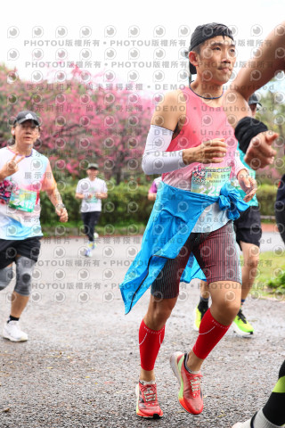2026左岸竹東櫻花馬拉松Zhudong Sakura Marathon
