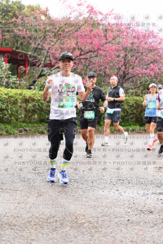 2026左岸竹東櫻花馬拉松Zhudong Sakura Marathon