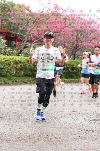 2026左岸竹東櫻花馬拉松Zhudong Sakura Marathon