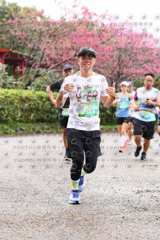 2026左岸竹東櫻花馬拉松Zhudong Sakura Marathon