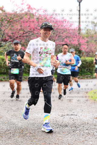 2026左岸竹東櫻花馬拉松Zhudong Sakura Marathon