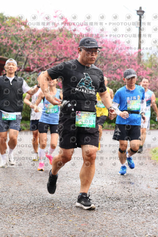 2026左岸竹東櫻花馬拉松Zhudong Sakura Marathon