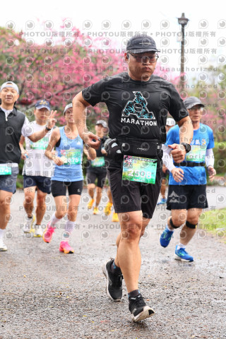 2026左岸竹東櫻花馬拉松Zhudong Sakura Marathon