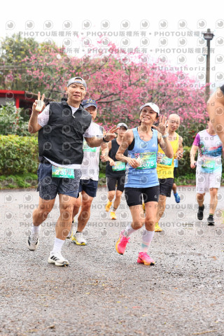 2026左岸竹東櫻花馬拉松Zhudong Sakura Marathon
