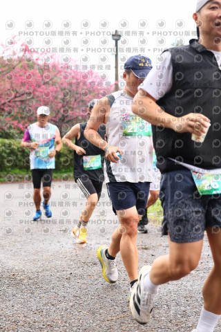 2026左岸竹東櫻花馬拉松Zhudong Sakura Marathon
