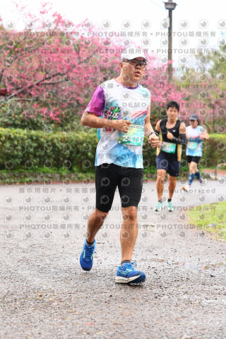 2026左岸竹東櫻花馬拉松Zhudong Sakura Marathon