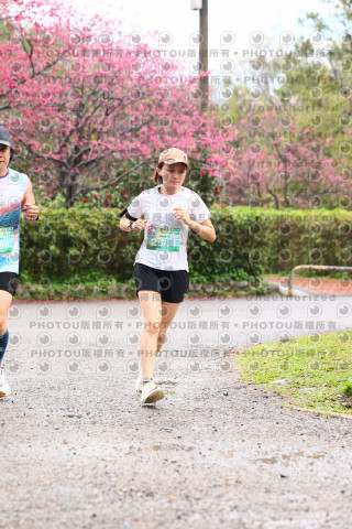 2026左岸竹東櫻花馬拉松Zhudong Sakura Marathon