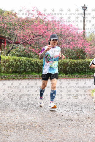 2026左岸竹東櫻花馬拉松Zhudong Sakura Marathon