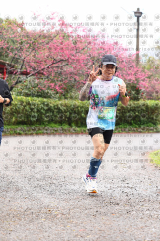 2026左岸竹東櫻花馬拉松Zhudong Sakura Marathon
