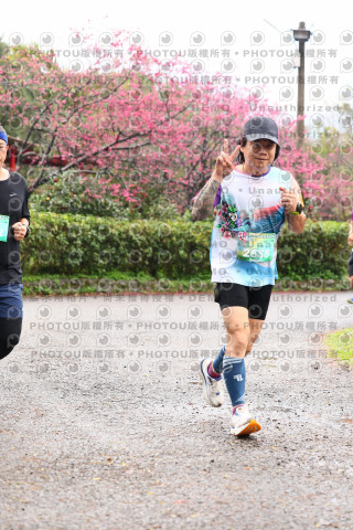 2026左岸竹東櫻花馬拉松Zhudong Sakura Marathon