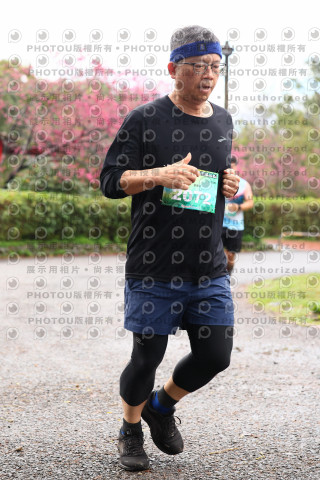 2026左岸竹東櫻花馬拉松Zhudong Sakura Marathon