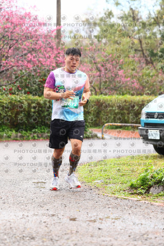 2026左岸竹東櫻花馬拉松Zhudong Sakura Marathon