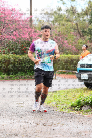2026左岸竹東櫻花馬拉松Zhudong Sakura Marathon