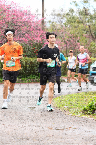 2026左岸竹東櫻花馬拉松Zhudong Sakura Marathon