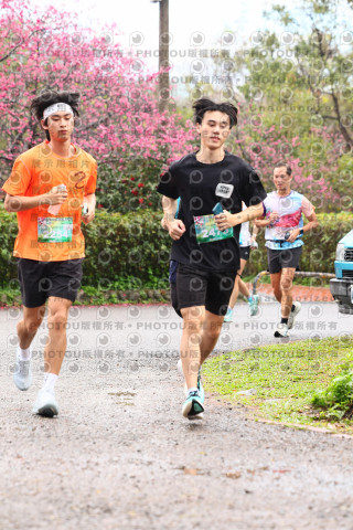 2026左岸竹東櫻花馬拉松Zhudong Sakura Marathon