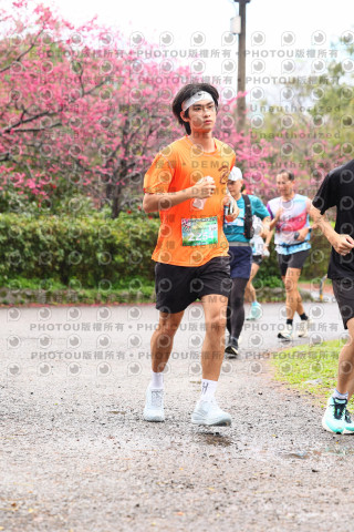2026左岸竹東櫻花馬拉松Zhudong Sakura Marathon