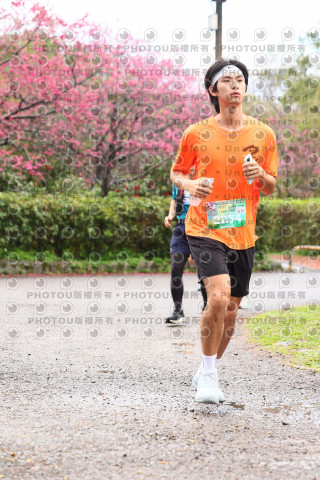 2026左岸竹東櫻花馬拉松Zhudong Sakura Marathon