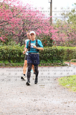 2026左岸竹東櫻花馬拉松Zhudong Sakura Marathon