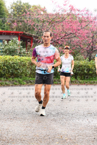 2026左岸竹東櫻花馬拉松Zhudong Sakura Marathon