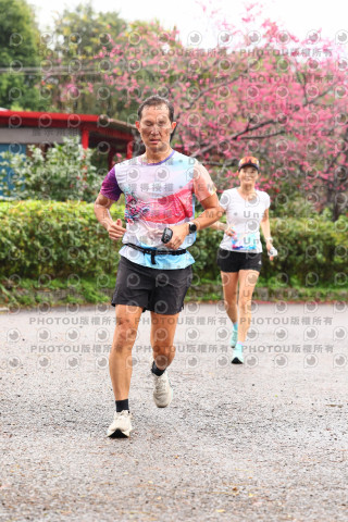 2026左岸竹東櫻花馬拉松Zhudong Sakura Marathon