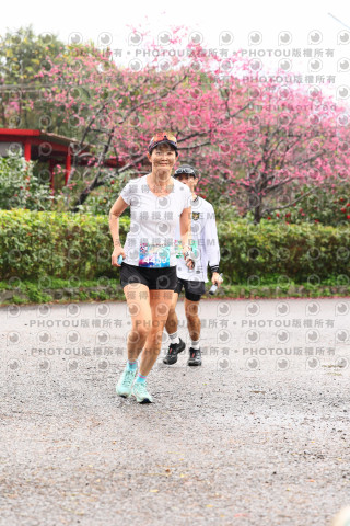 2026左岸竹東櫻花馬拉松Zhudong Sakura Marathon