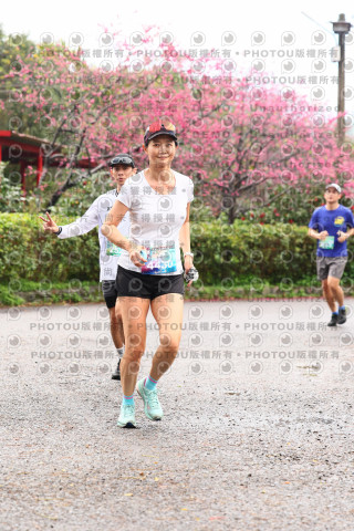2026左岸竹東櫻花馬拉松Zhudong Sakura Marathon