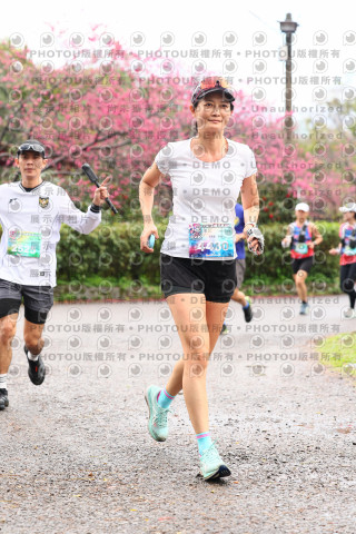 2026左岸竹東櫻花馬拉松Zhudong Sakura Marathon