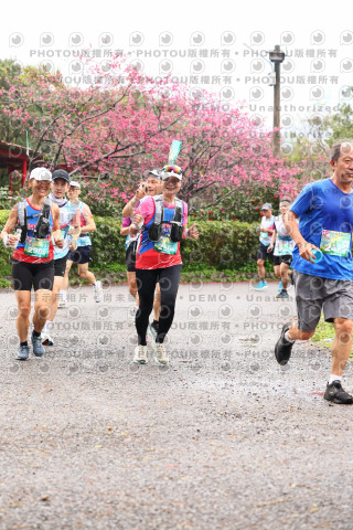 2026左岸竹東櫻花馬拉松Zhudong Sakura Marathon