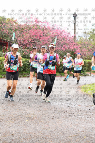 2026左岸竹東櫻花馬拉松Zhudong Sakura Marathon