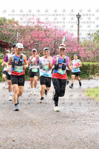 2026左岸竹東櫻花馬拉松Zhudong Sakura Marathon