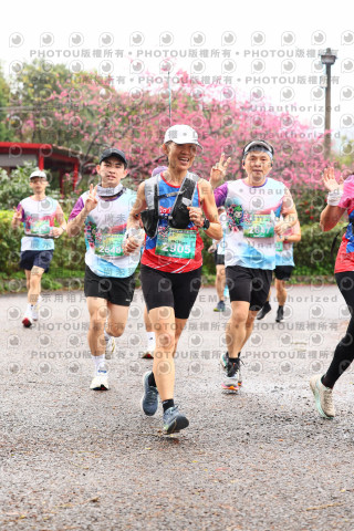 2026左岸竹東櫻花馬拉松Zhudong Sakura Marathon