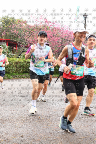 2026左岸竹東櫻花馬拉松Zhudong Sakura Marathon