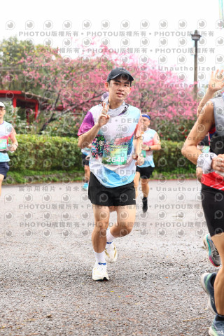2026左岸竹東櫻花馬拉松Zhudong Sakura Marathon