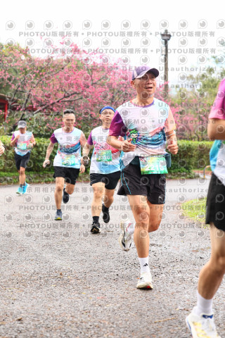 2026左岸竹東櫻花馬拉松Zhudong Sakura Marathon