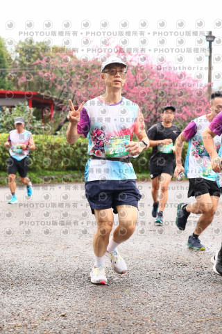 2026左岸竹東櫻花馬拉松Zhudong Sakura Marathon