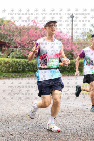 2026左岸竹東櫻花馬拉松Zhudong Sakura Marathon