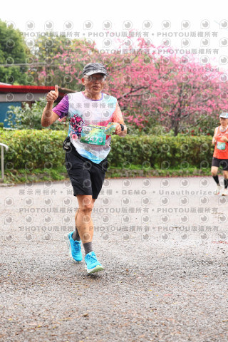 2026左岸竹東櫻花馬拉松Zhudong Sakura Marathon