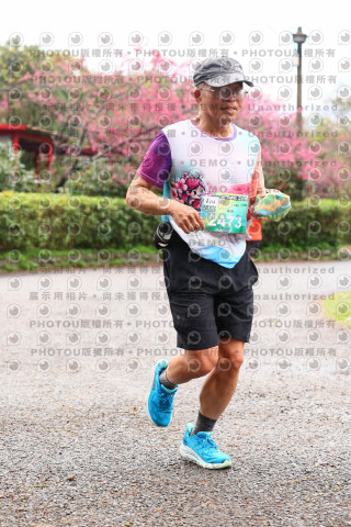 2026左岸竹東櫻花馬拉松Zhudong Sakura Marathon