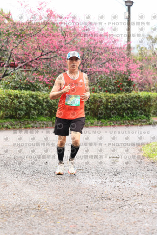 2026左岸竹東櫻花馬拉松Zhudong Sakura Marathon