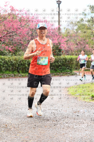 2026左岸竹東櫻花馬拉松Zhudong Sakura Marathon