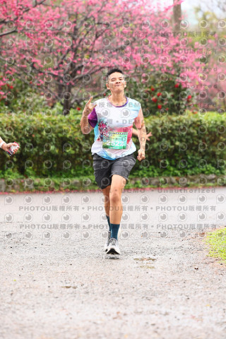 2026左岸竹東櫻花馬拉松Zhudong Sakura Marathon
