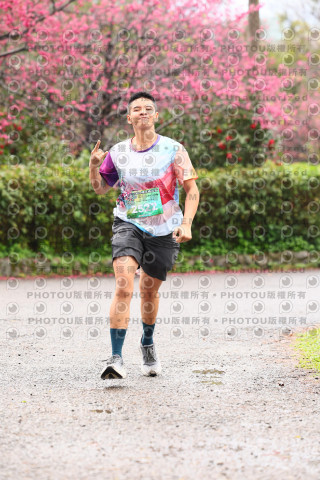 2026左岸竹東櫻花馬拉松Zhudong Sakura Marathon