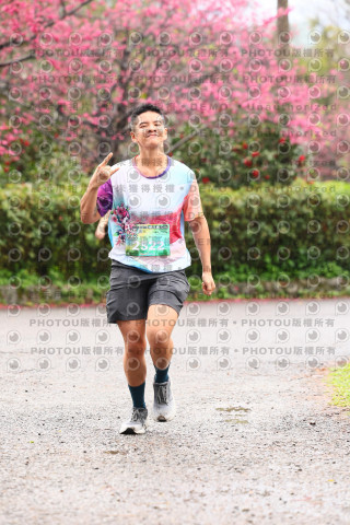 2026左岸竹東櫻花馬拉松Zhudong Sakura Marathon