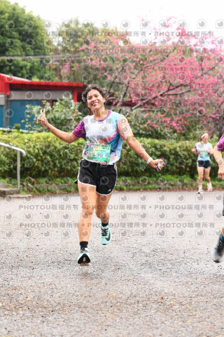 2026左岸竹東櫻花馬拉松Zhudong Sakura Marathon