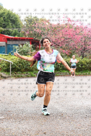 2026左岸竹東櫻花馬拉松Zhudong Sakura Marathon