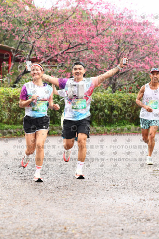 2026左岸竹東櫻花馬拉松Zhudong Sakura Marathon