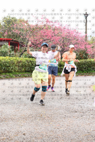 2026左岸竹東櫻花馬拉松Zhudong Sakura Marathon