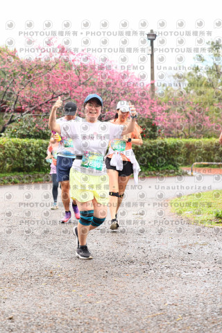 2026左岸竹東櫻花馬拉松Zhudong Sakura Marathon